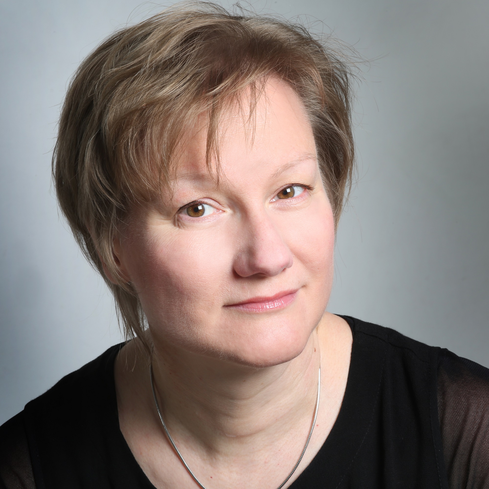 Directeur de la transformation. Directeur de programme SI