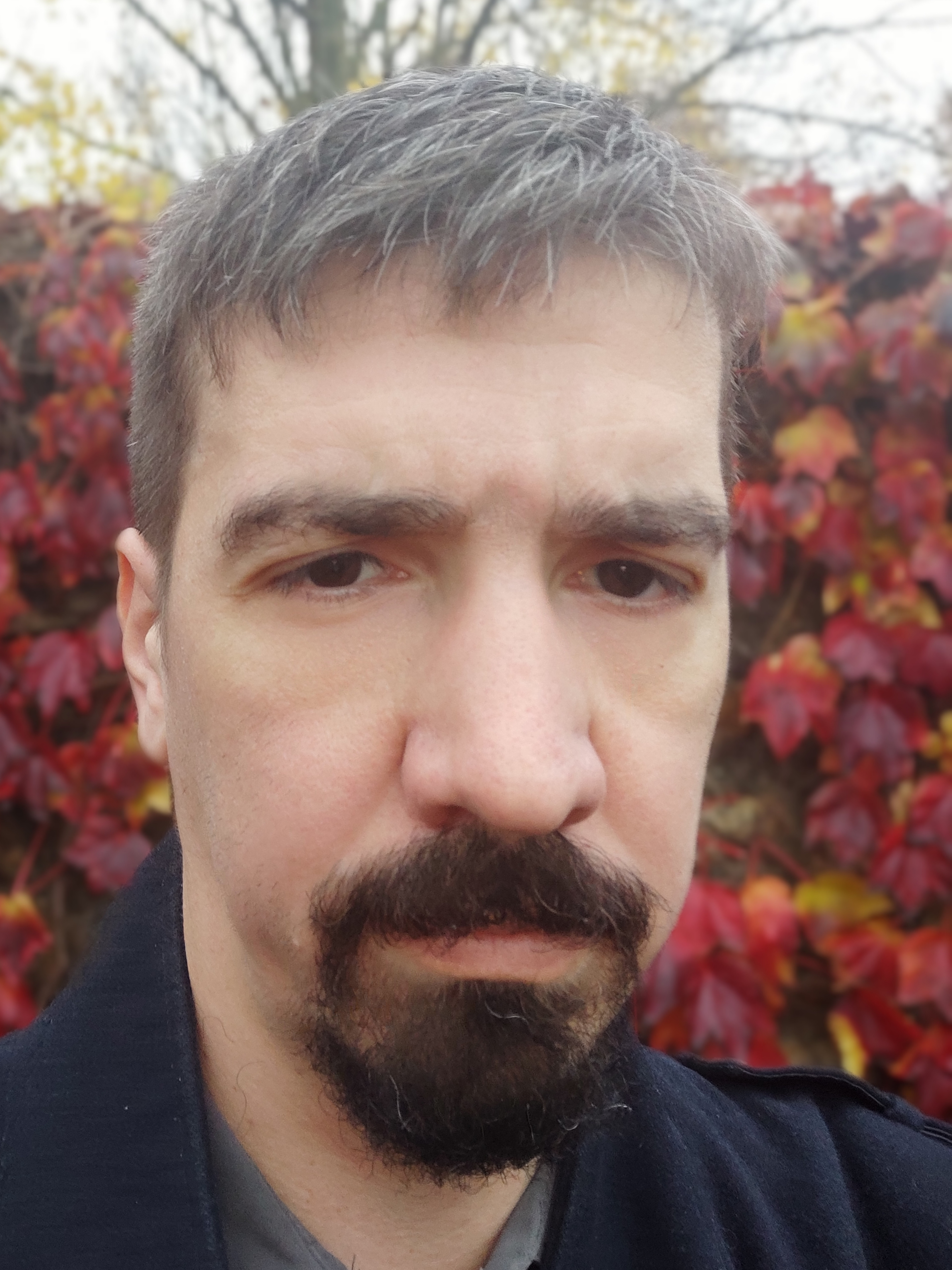 Tech Lead Java